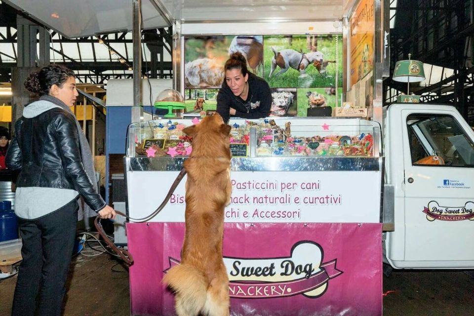 Dog Sweet Dog_header1