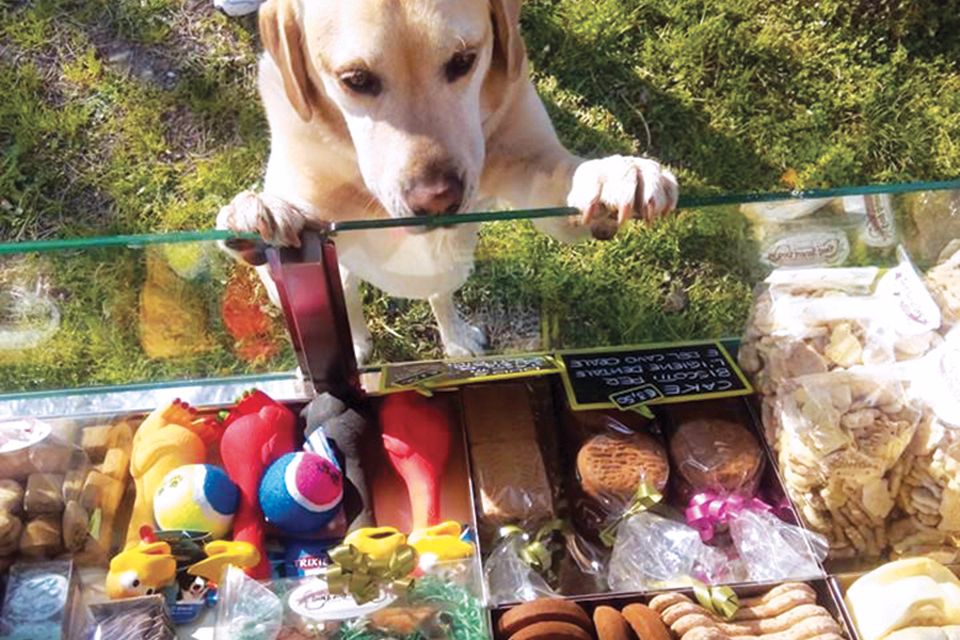 Un cliente sta tentando di decidere quale biscotto provare